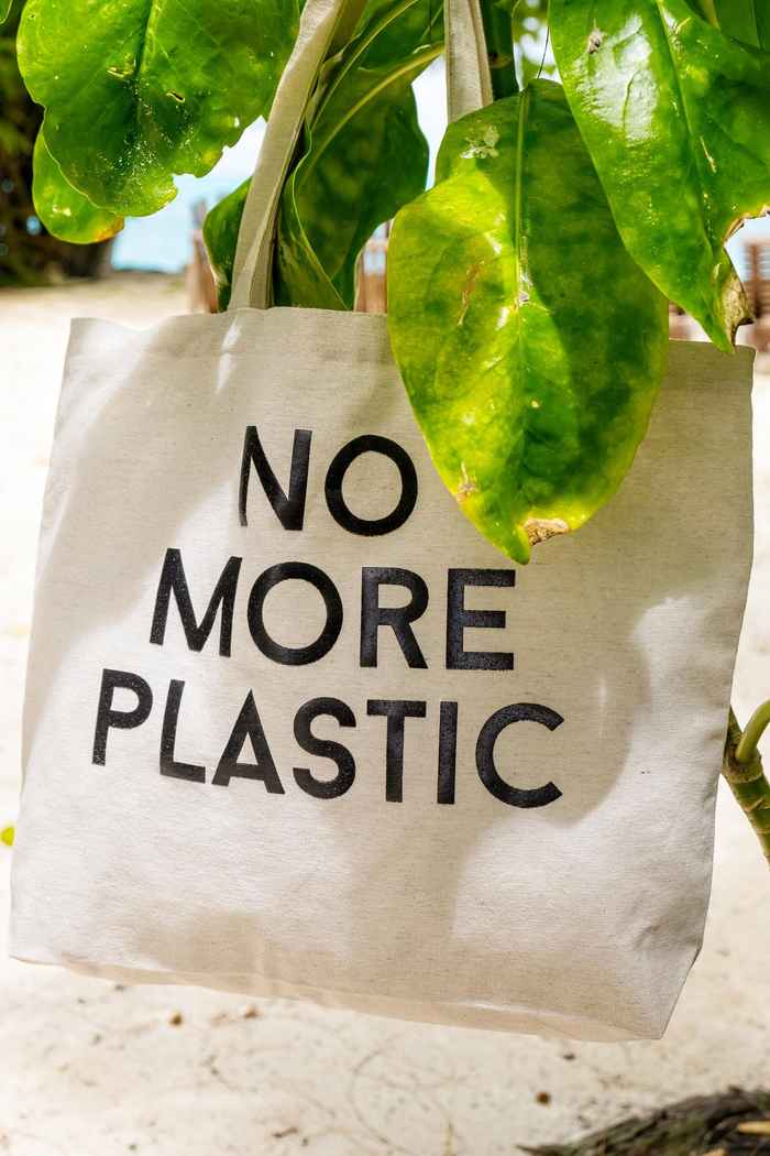 Pourquoi choisir un tote bag comme alternative au sac plastique?