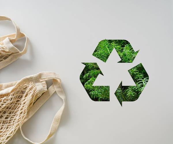 Pourquoi choisir un tote bag personnalisé écologique ? Guide