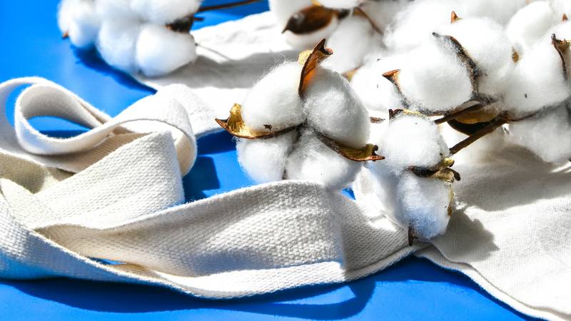 Tote bags en coton bio